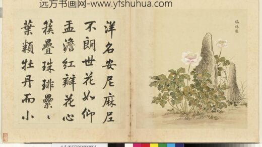 清余省画海西集卉册瑞珠盘.jpg