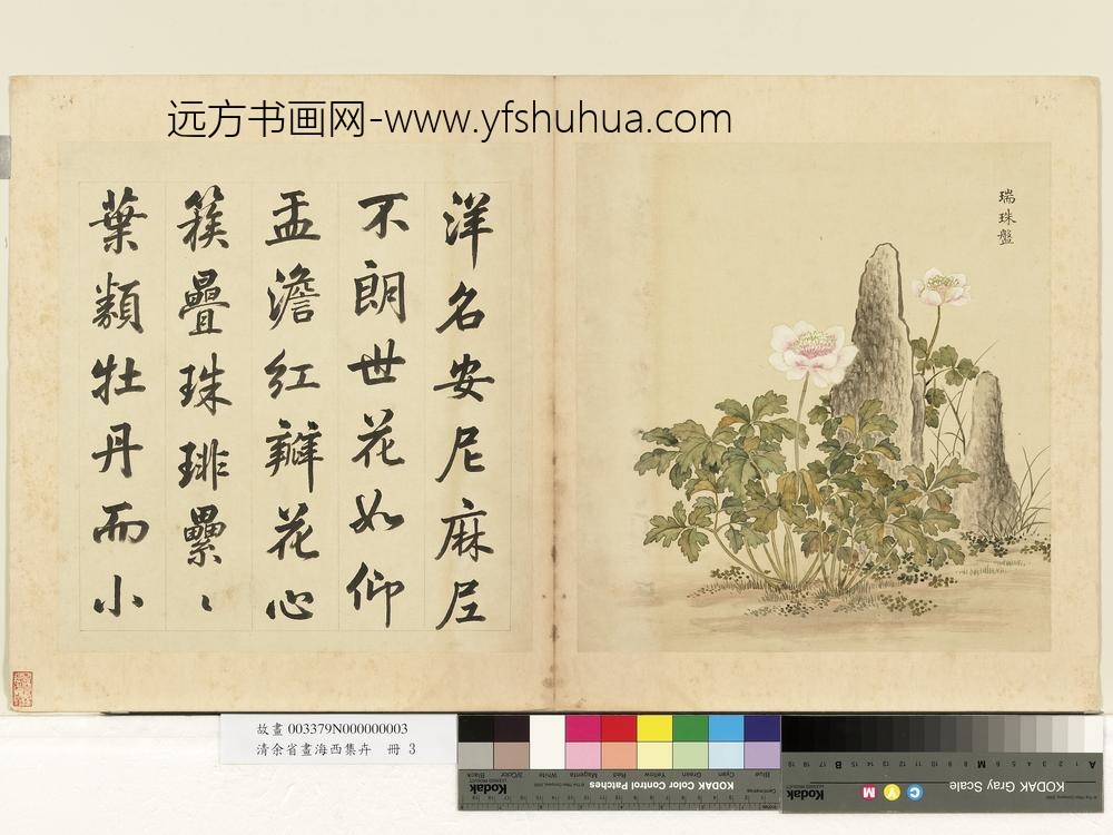 清余省画海西集卉册瑞珠盘