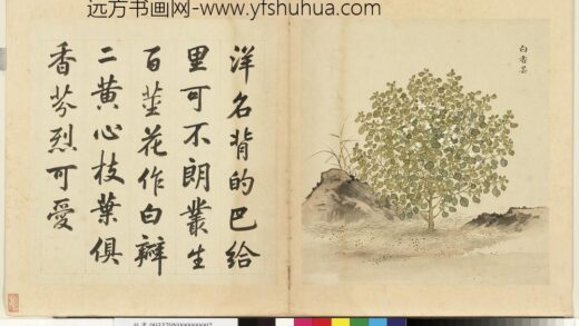 清余省画海西集卉册白香芸.jpg