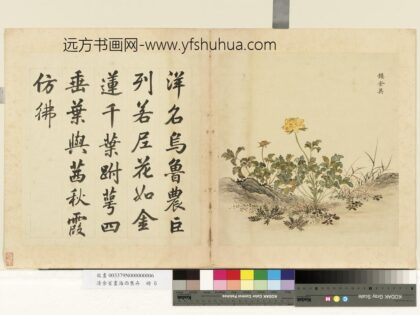 清余省画海西集卉册镂金英.jpg