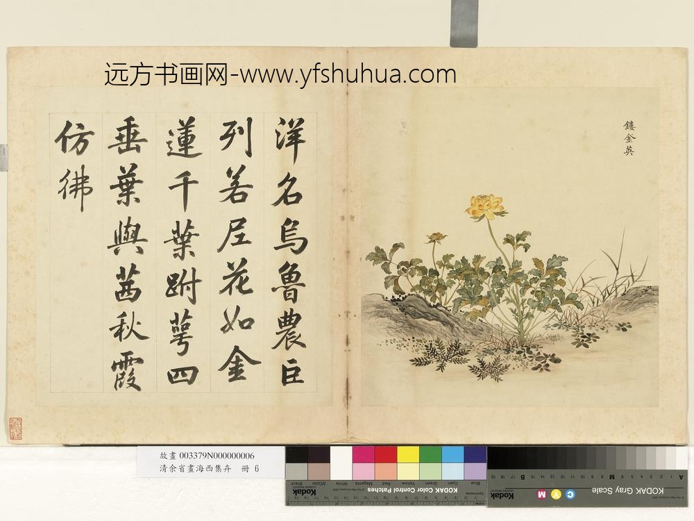 清余省画海西集卉册镂金英