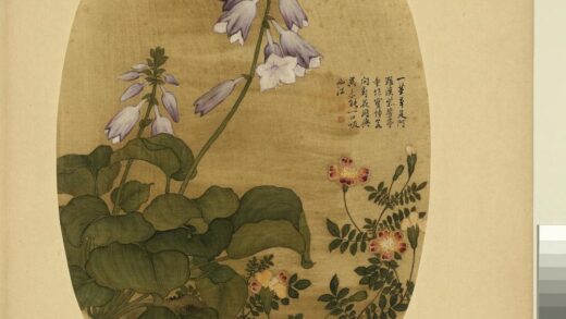 清余省画花卉册玉簪花万寿菊.jpg