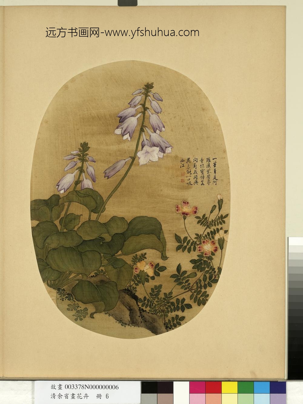 清余省画花卉册玉簪花万寿菊