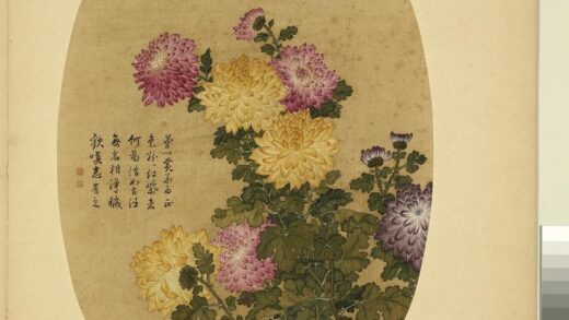 清余省画花卉册菊.jpg