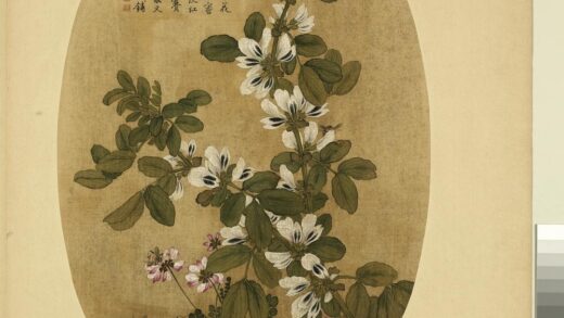 清余省画花卉册蚕豆花紫花地丁.jpg