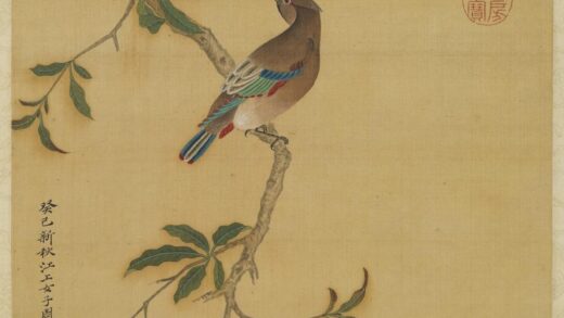 清周禧画石榴轴.jpg