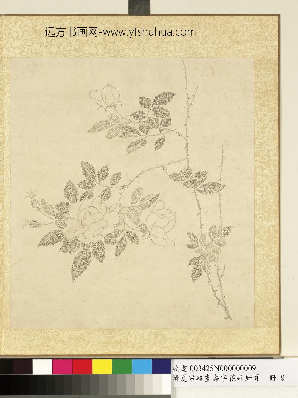 清夏宗辂画寿字花卉册页册月季