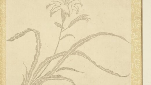 清夏宗辂画寿字花卉册页册萱花.jpg