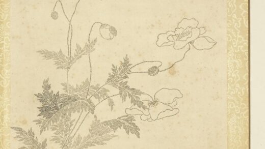 清夏宗辂画寿字花卉册页册虞美人.jpg