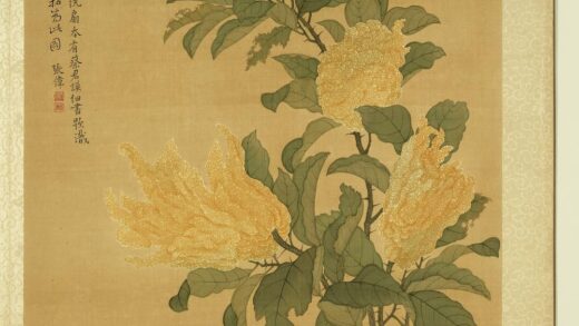 清张伟写生花卉册佛手柑.jpg