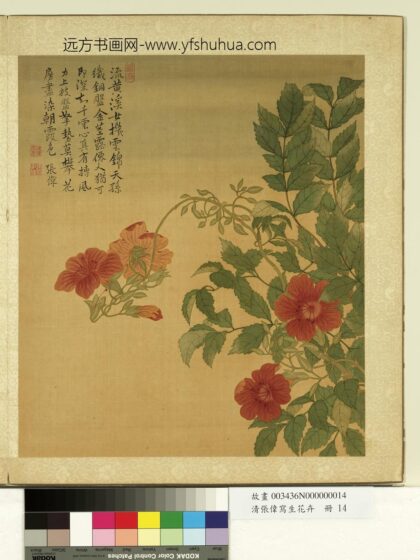 清张伟写生花卉册凌霄.jpg