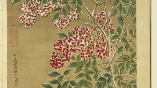 清张伟写生花卉册天竹.jpg
