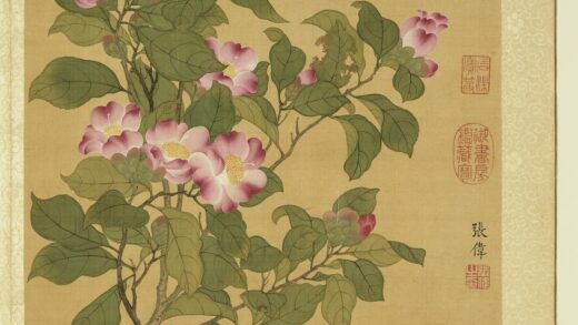 清张伟写生花卉册山茶.jpg
