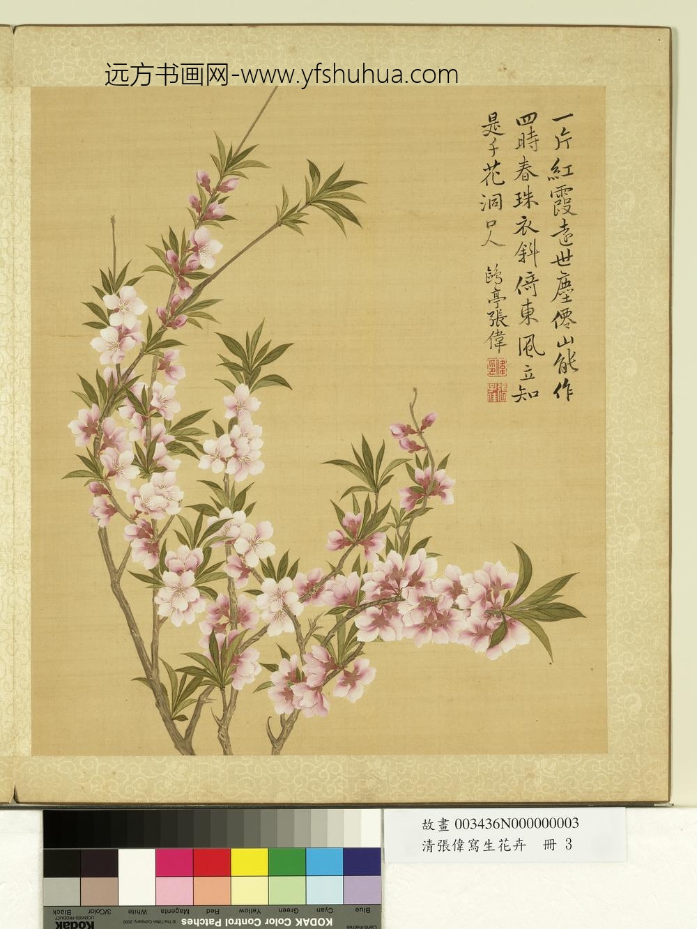 清张伟写生花卉册桃花