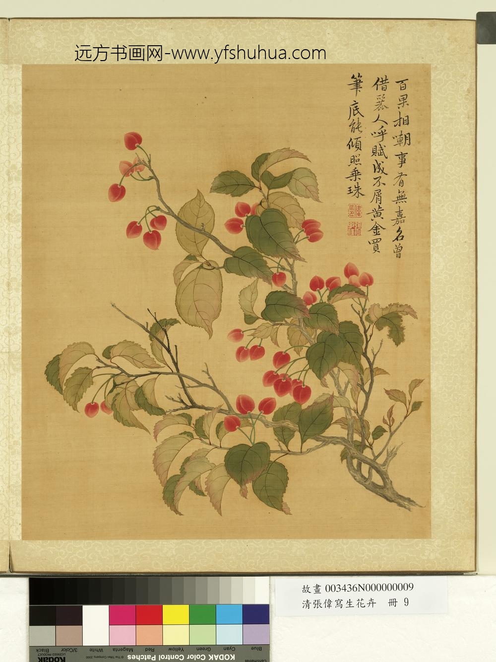 清张伟写生花卉册樱桃