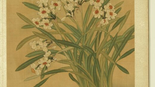 清张伟写生花卉册水仙.jpg