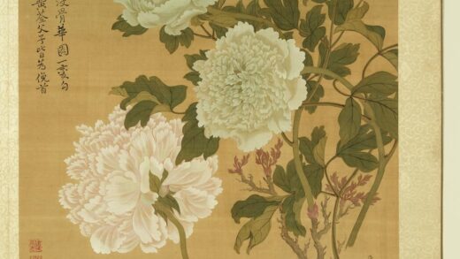 清张伟写生花卉册牡丹.jpg