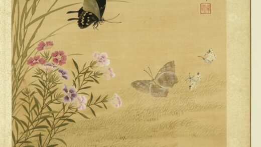清张伟写生花卉册石竹蛱蜨.jpg