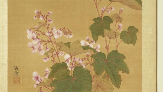清张伟写生花卉册秋海棠.jpg