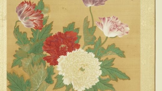 清张伟写生花卉册罂粟.jpg