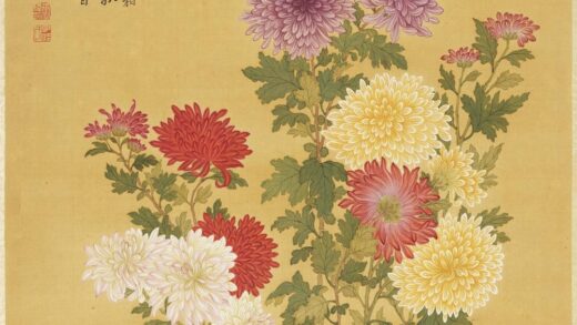 清张伟写生花卉册菊花.jpg