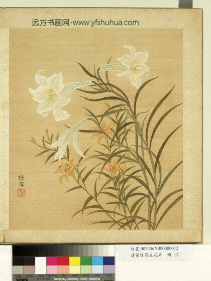 清张伟写生花卉册萱花百合.jpg