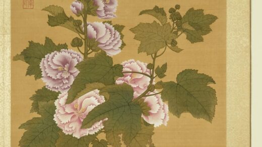 清张伟写生花卉册蜀葵.jpg