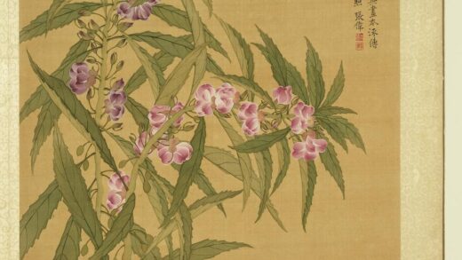 清张伟写生花卉册金凤花.jpg