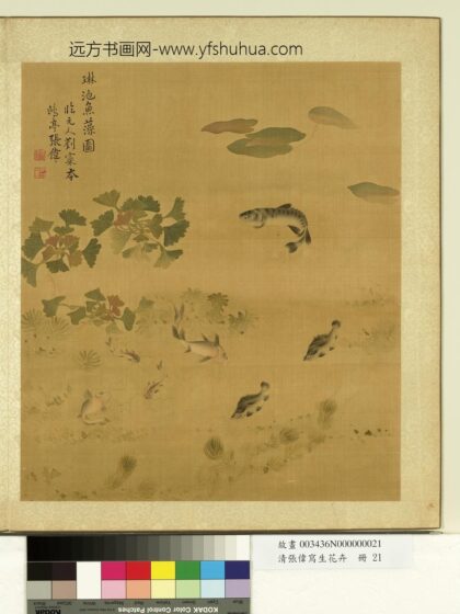 清张伟写生花卉册鱼藻.jpg