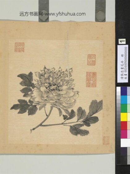 清张忠画花卉册牡丹.jpg