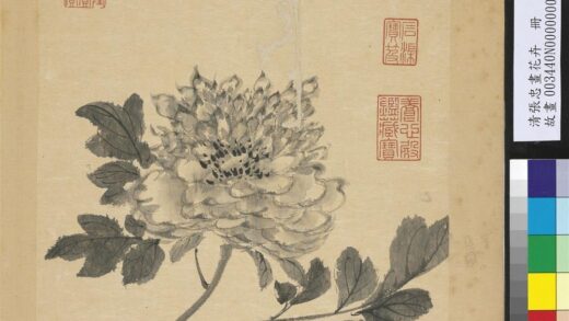 清张忠画花卉册牡丹.jpg