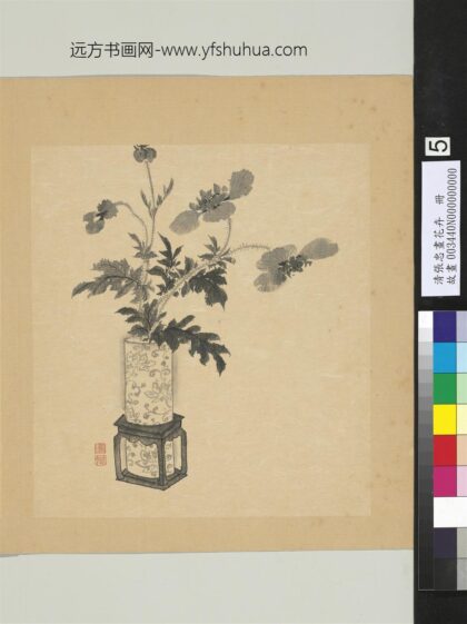 清张忠画花卉册罂粟.jpg