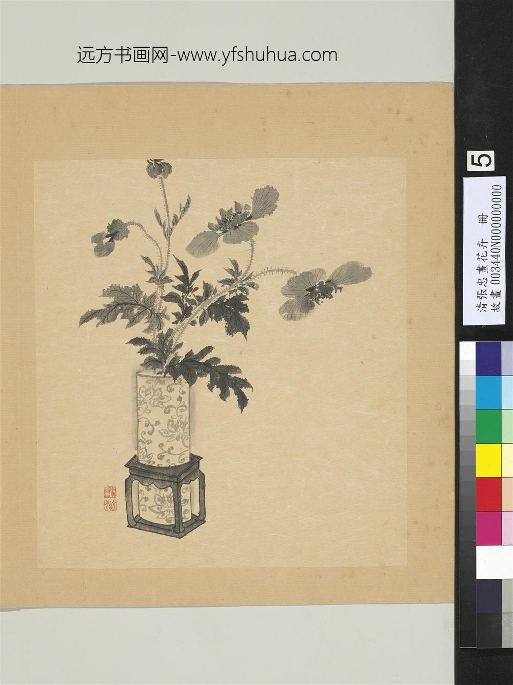 清张忠画花卉册罂粟