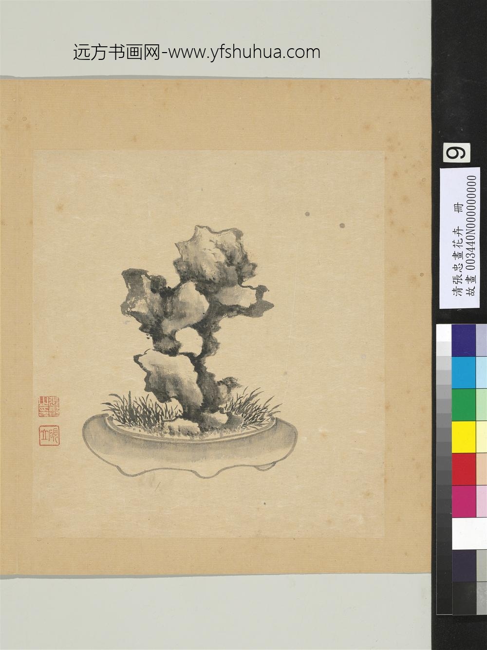 清张忠画花卉册草石