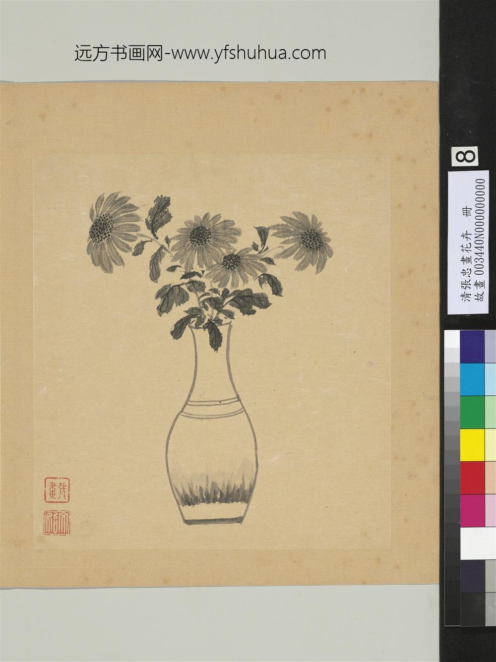 清张忠画花卉册菊花