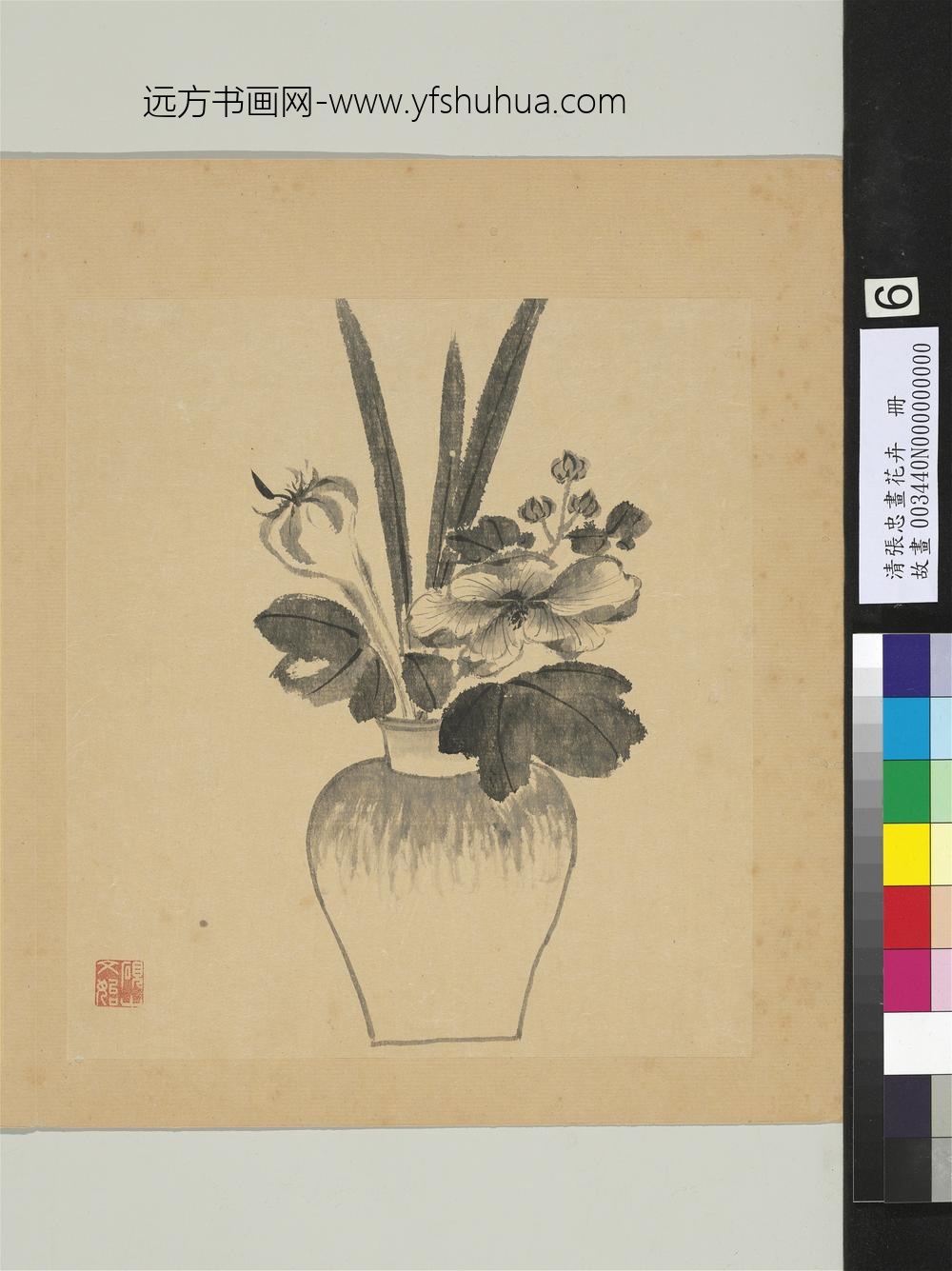 清张忠画花卉册蜀葵
