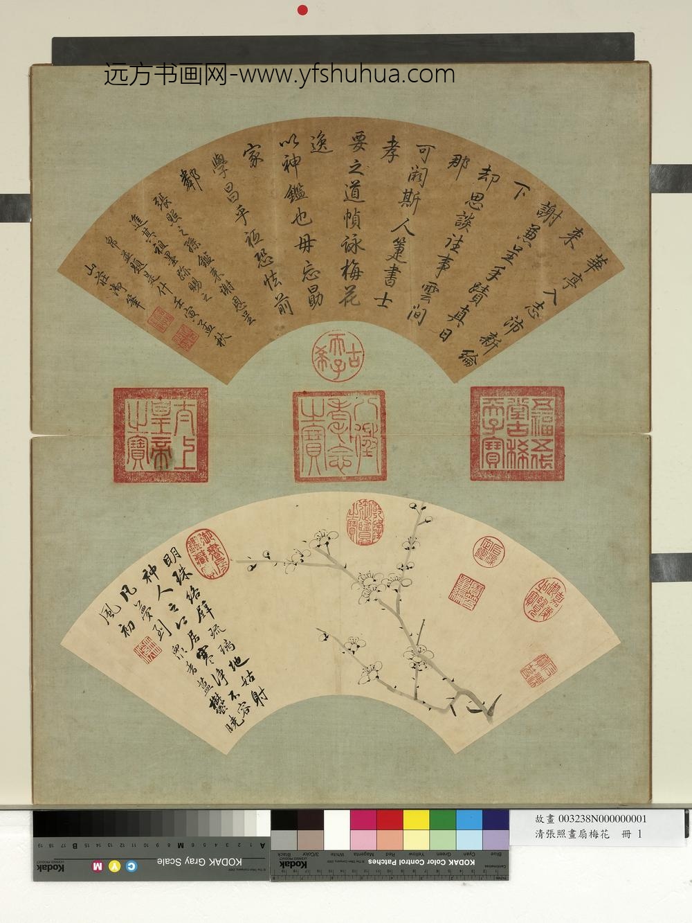 清张照画扇梅花册梅花（一）