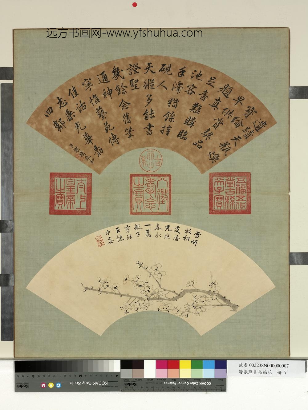 清张照画扇梅花册梅花（七）