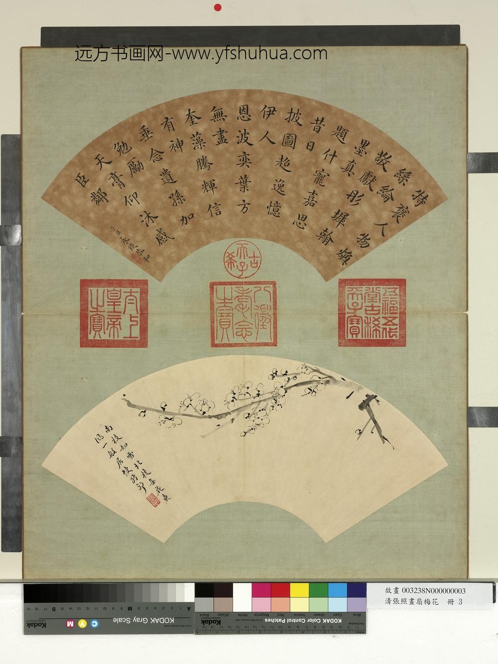 清张照画扇梅花册梅花（三）