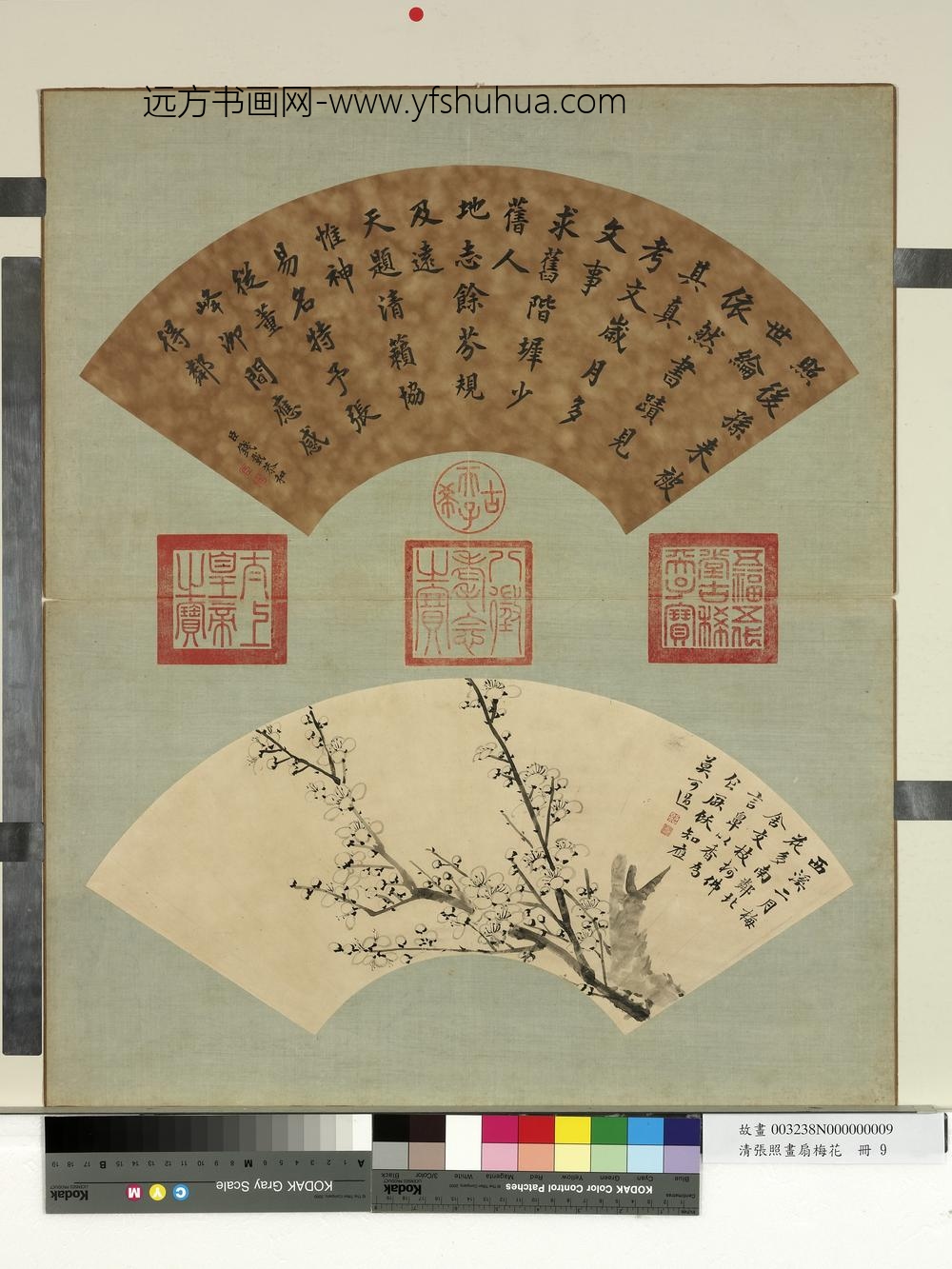 清张照画扇梅花册梅花（九）