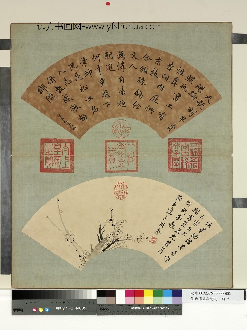 清张照画扇梅花册梅花（二）