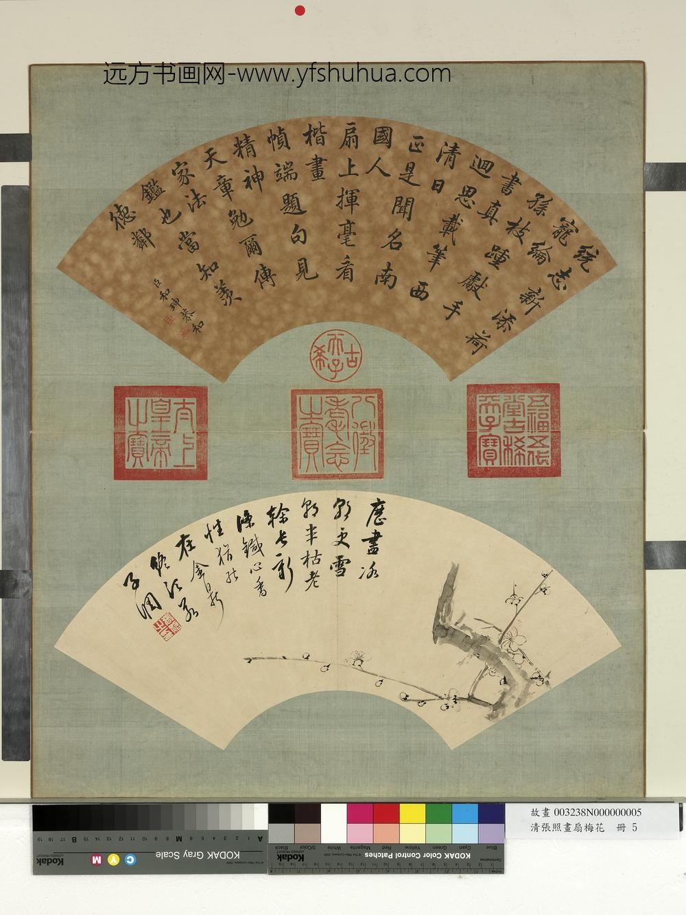 清张照画扇梅花册梅花（五）