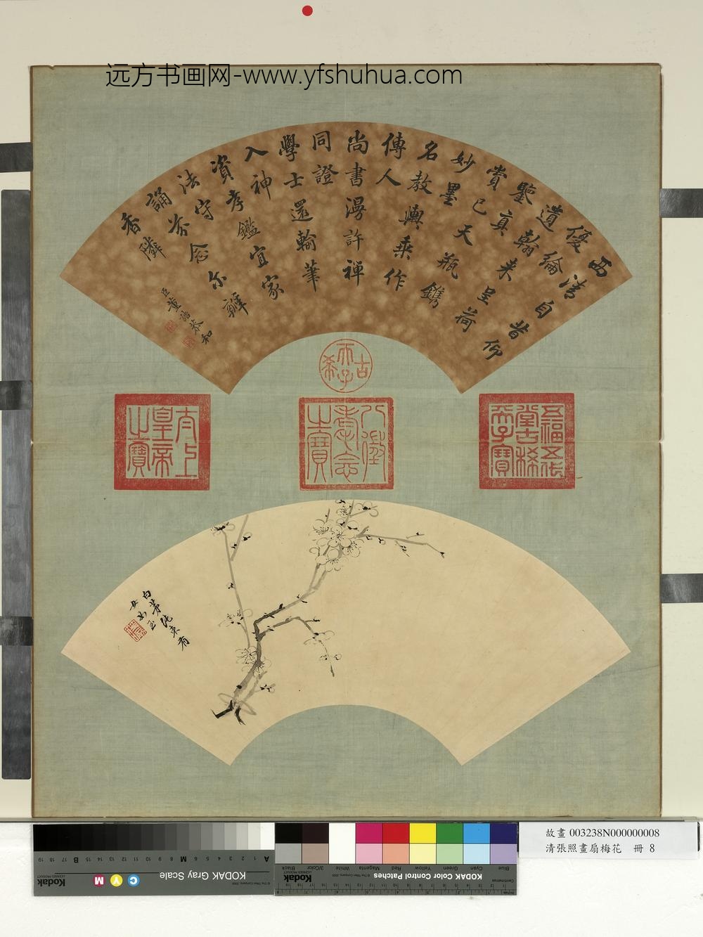 清张照画扇梅花册梅花（八）