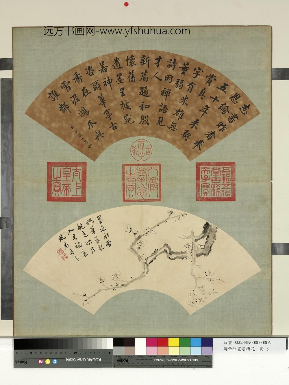 清张照画扇梅花册梅花（六）