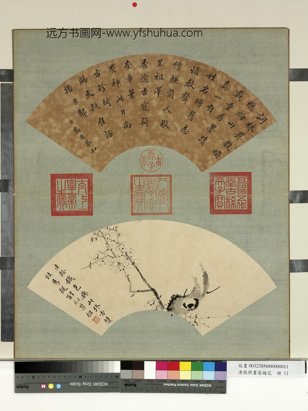 清张照画扇梅花册梅花（十一）