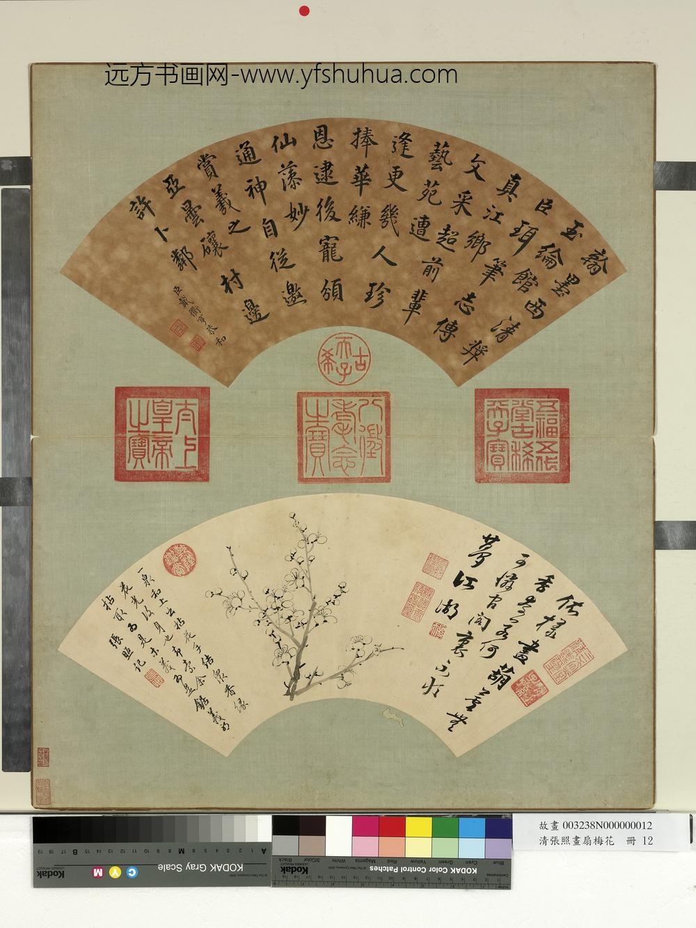 清张照画扇梅花册梅花（十二）