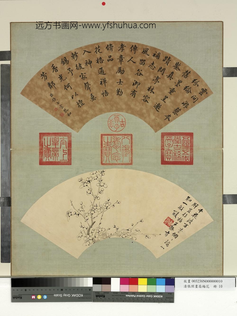 清张照画扇梅花册梅花（十）