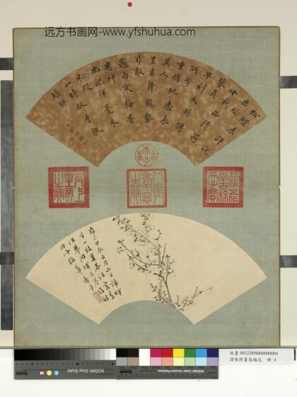 清张照画扇梅花册梅花（四）.jpg