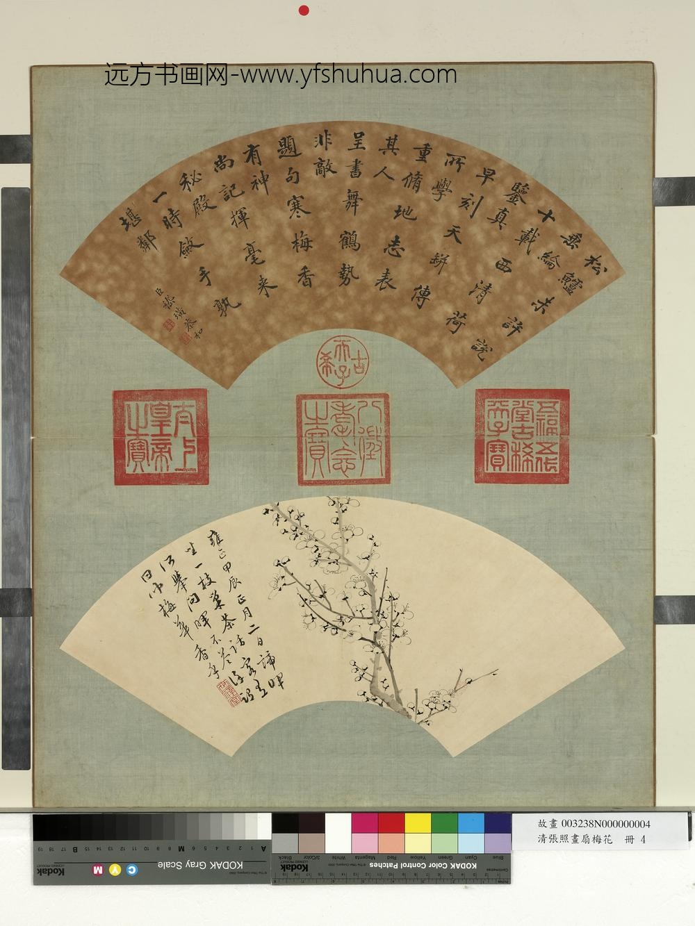 清张照画扇梅花册梅花（四）