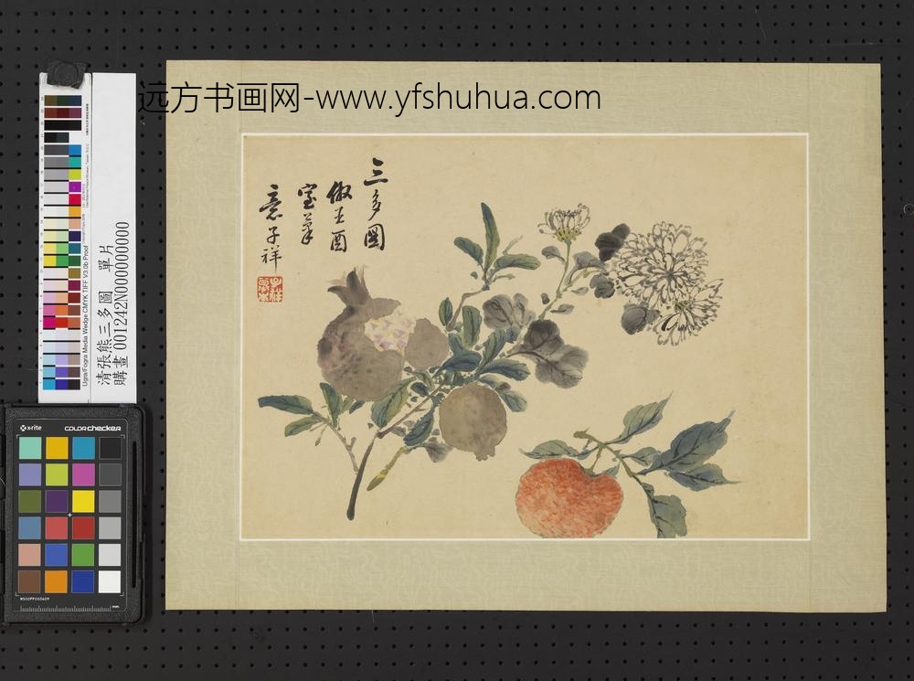 清张熊三多图单片